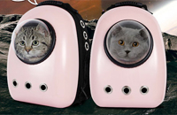 皓言電子新聞中心